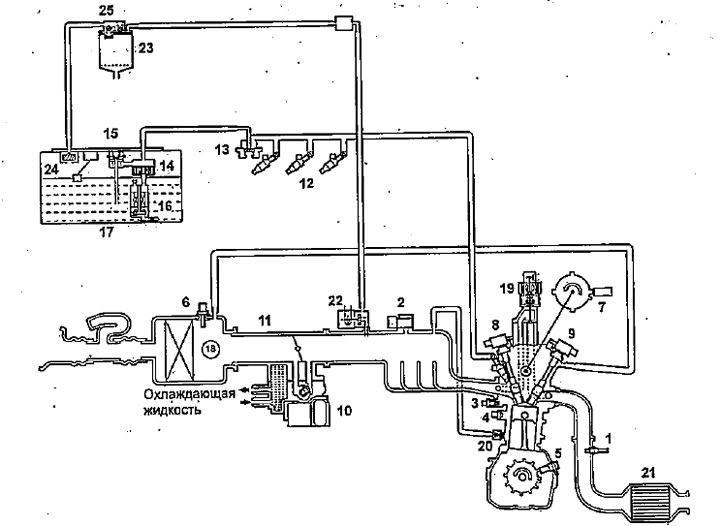 Устройство системы впрыска топлива (Хонда Фит 1, 2001-2008) — «Система ...