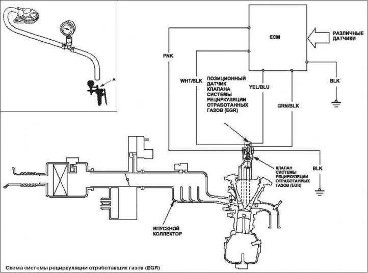 1. Disconnect the 6P connector of the EGR valve.
