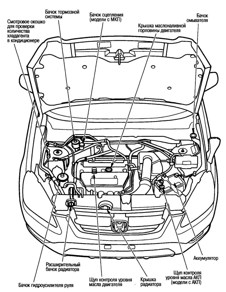 Моторный отсек