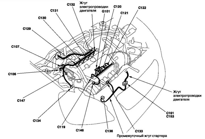 Размещение жгутов электропроводки и разъемов…