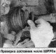 Kryty homokinetických kĺbov pre poloosy a hnacie hriadele —…