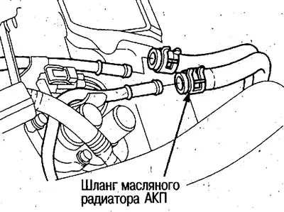 Встановіть заглушки на шланги та трубки радіатора…