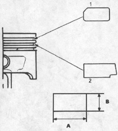 1. верхнее компрессионное; 2. второе…