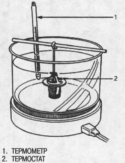 1. Подвесьте термостат в емкости с водой, как…