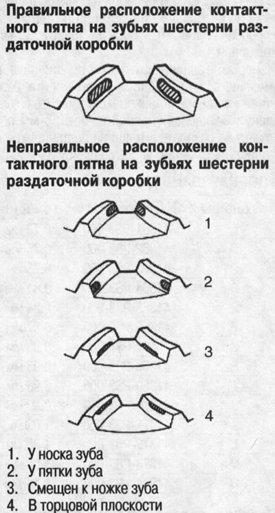 18. Проверьте форму контактного пятна на зубьях…